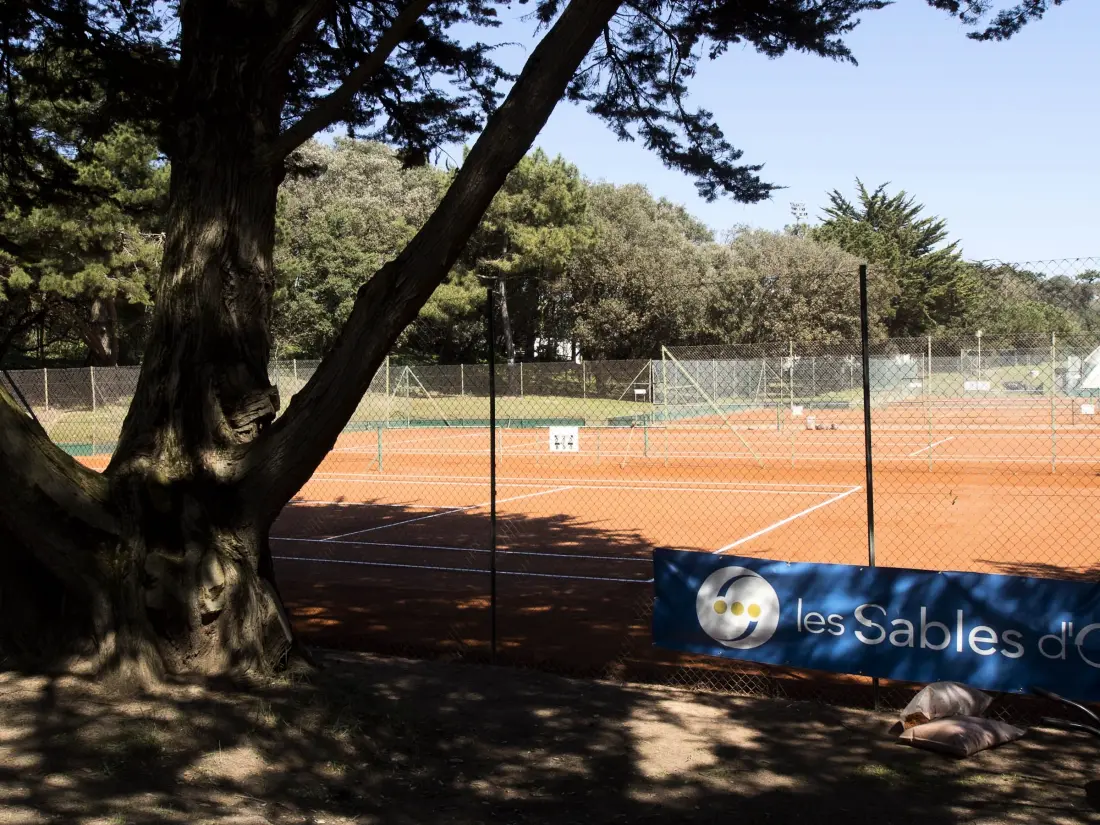 Location de Vacances Les Sables-d'Olonne 261