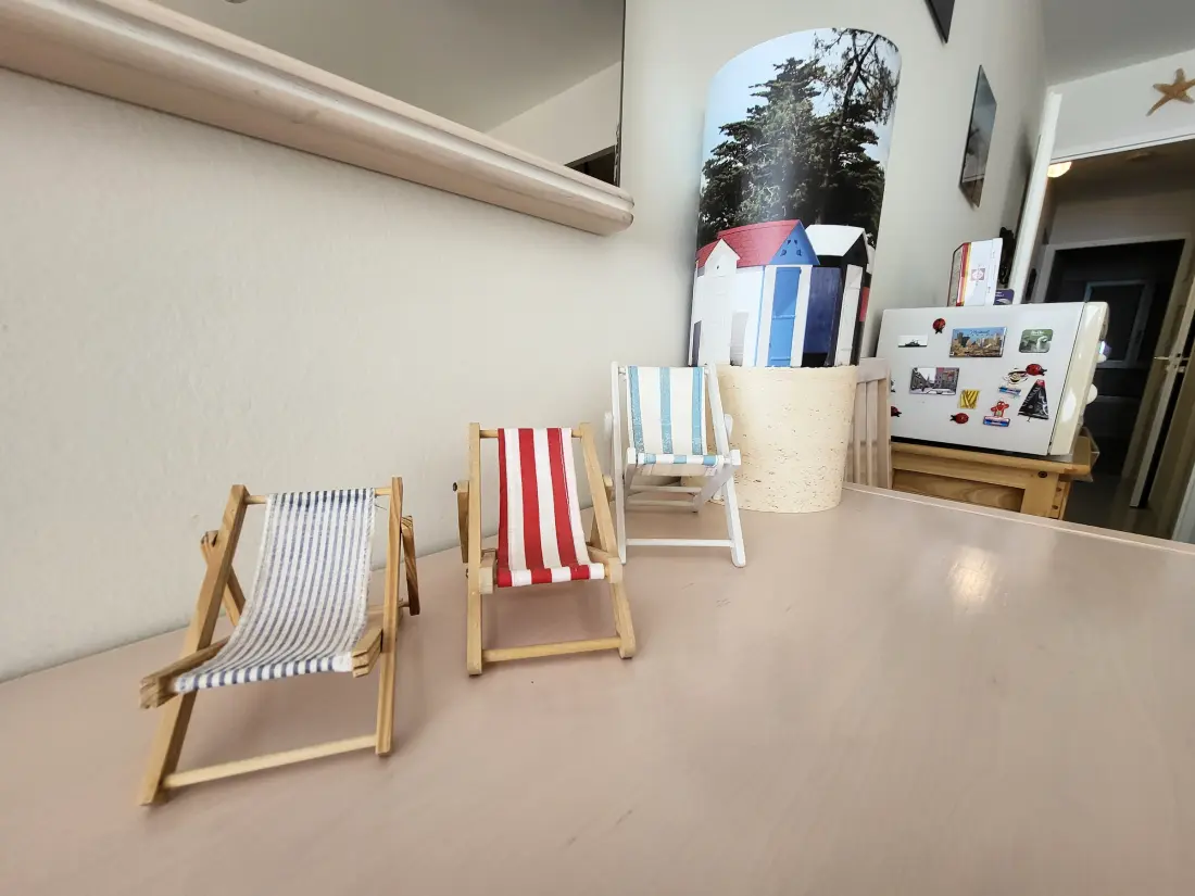 Location de Vacances Les Sables-d'Olonne 271
