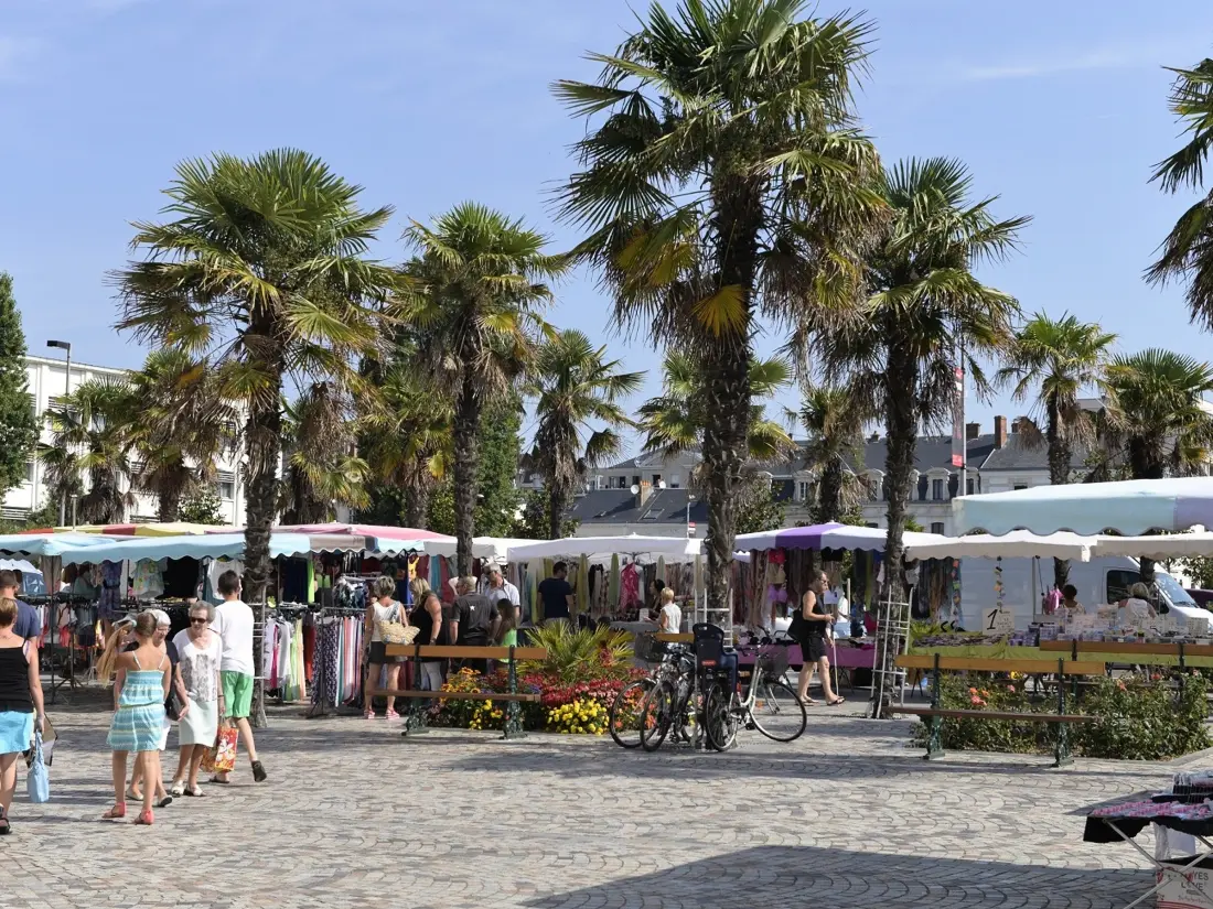 Location de Vacances Les Sables-d'Olonne 271