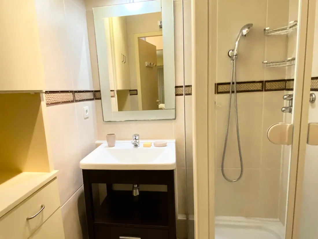 Location de Vacances Les Sables-d'Olonne 290