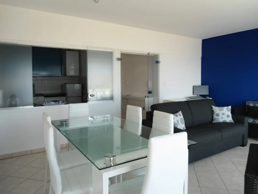 Location de Vacances Les Sables-d'Olonne 395