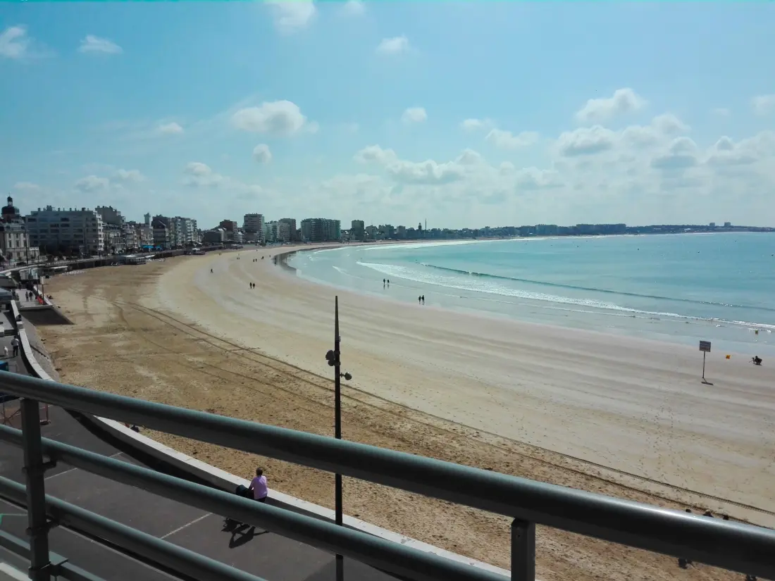 Location de Vacances Les Sables-d'Olonne 395
