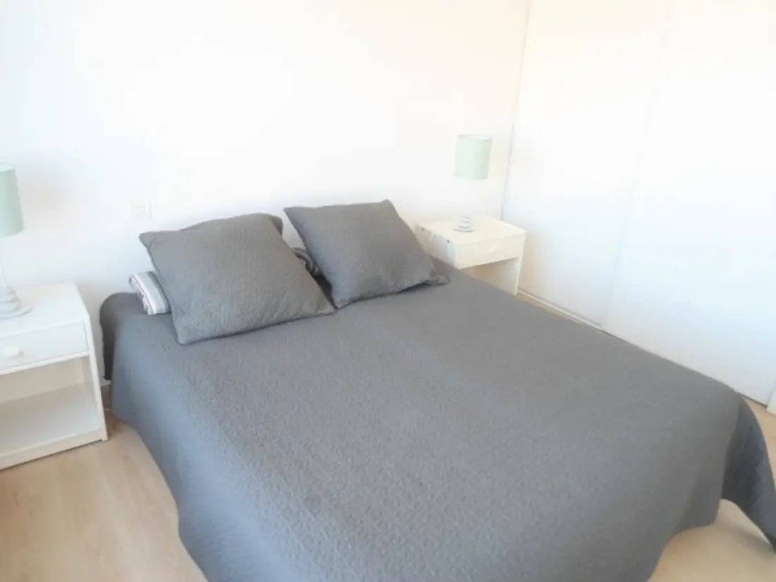 Location de Vacances Les Sables-d'Olonne 398