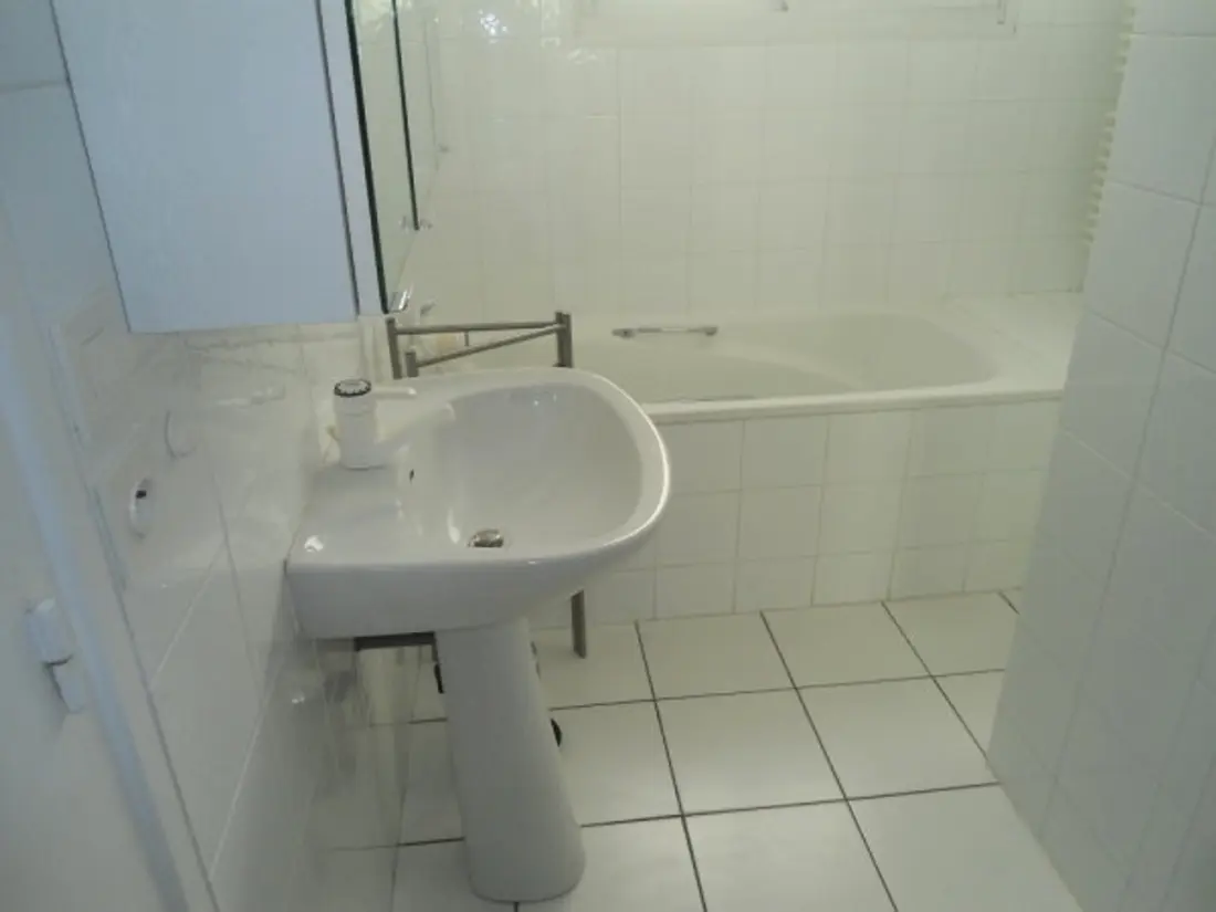 Location de Vacances Les Sables-d'Olonne 398