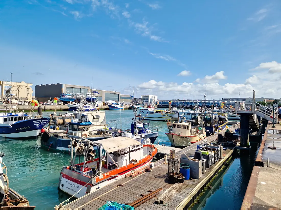 Location de Vacances Les Sables-d'Olonne 568