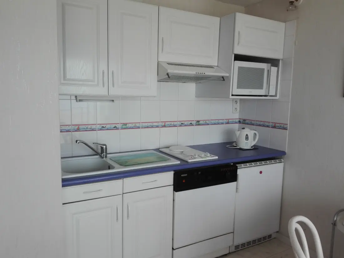 Location de Vacances Les Sables-d'Olonne 576