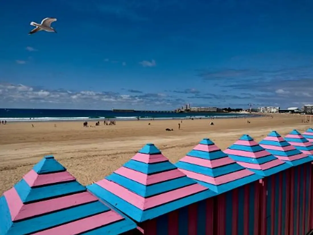 Location de Vacances Les Sables-d'Olonne 576