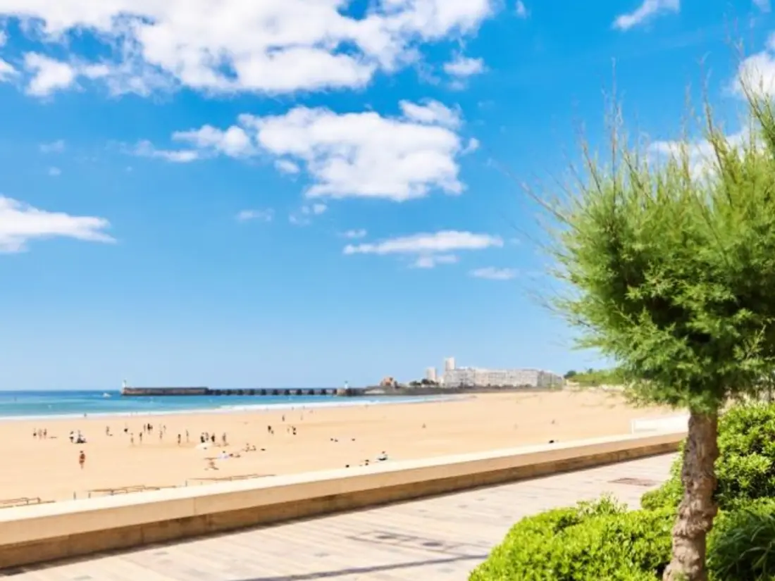 Location de Vacances Les Sables-d'Olonne 576