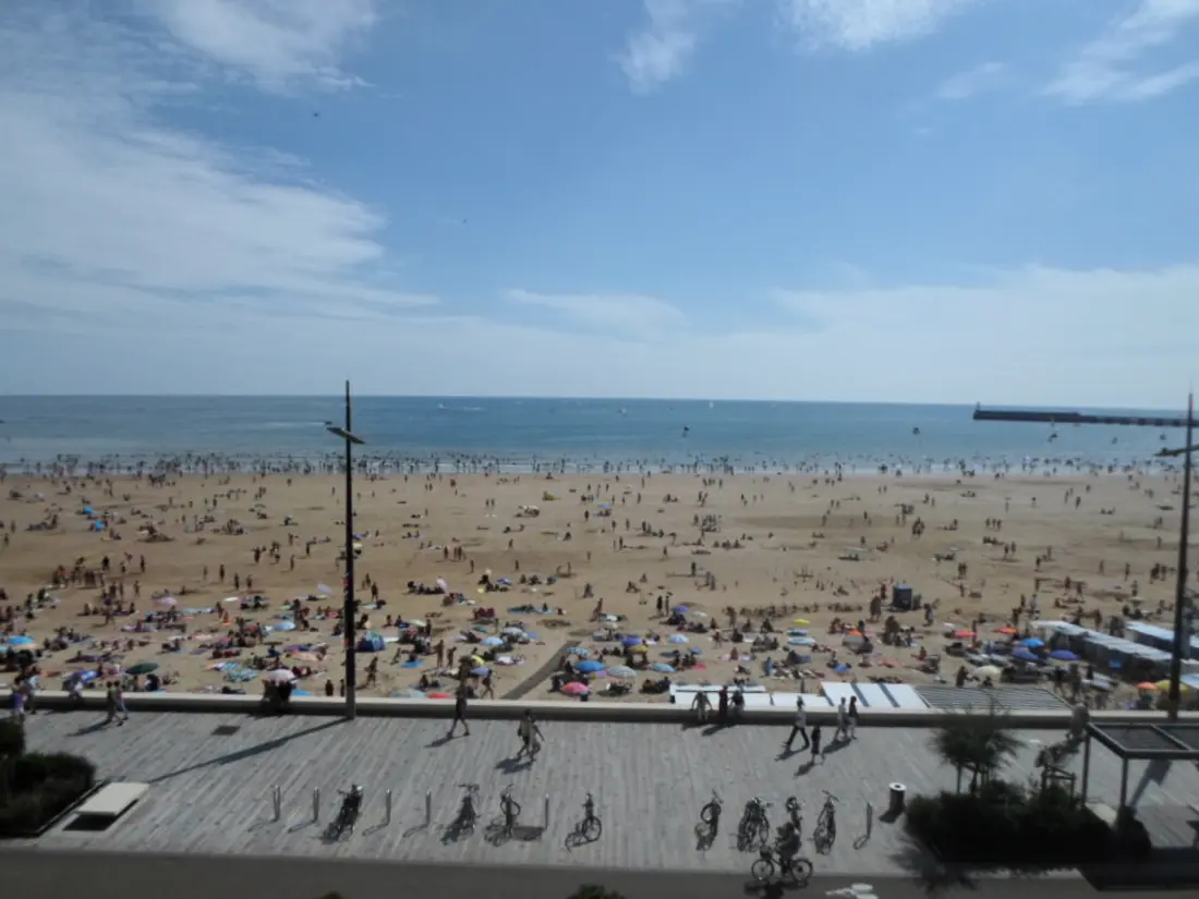 Location de Vacances Les Sables-d'Olonne 60