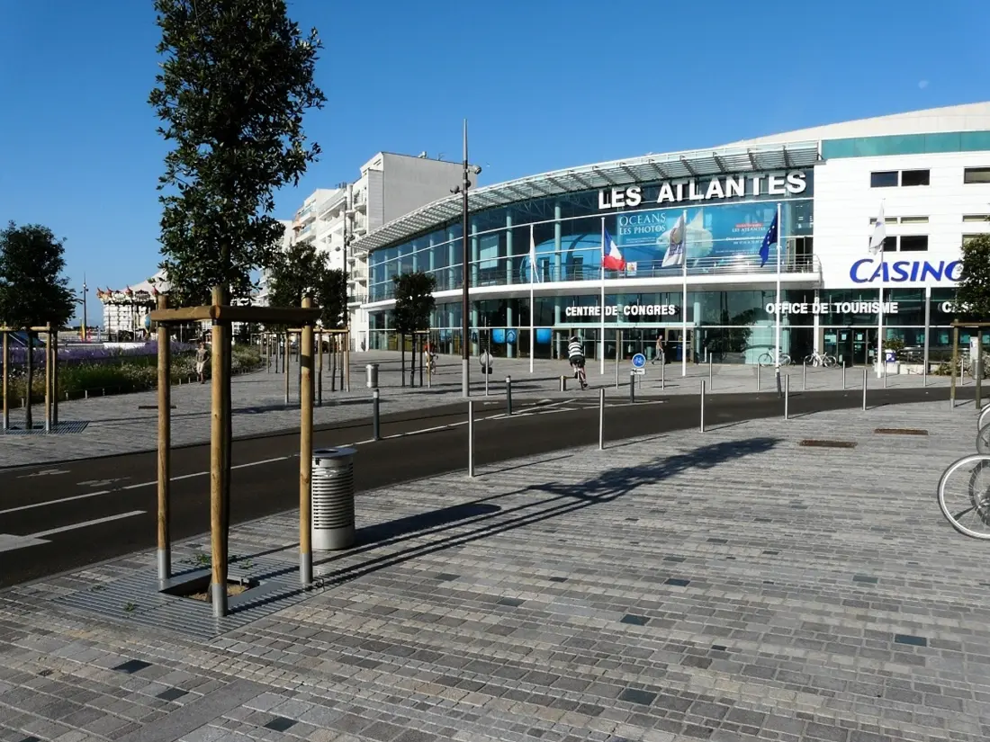 Location de Vacances Les Sables-d'Olonne 881