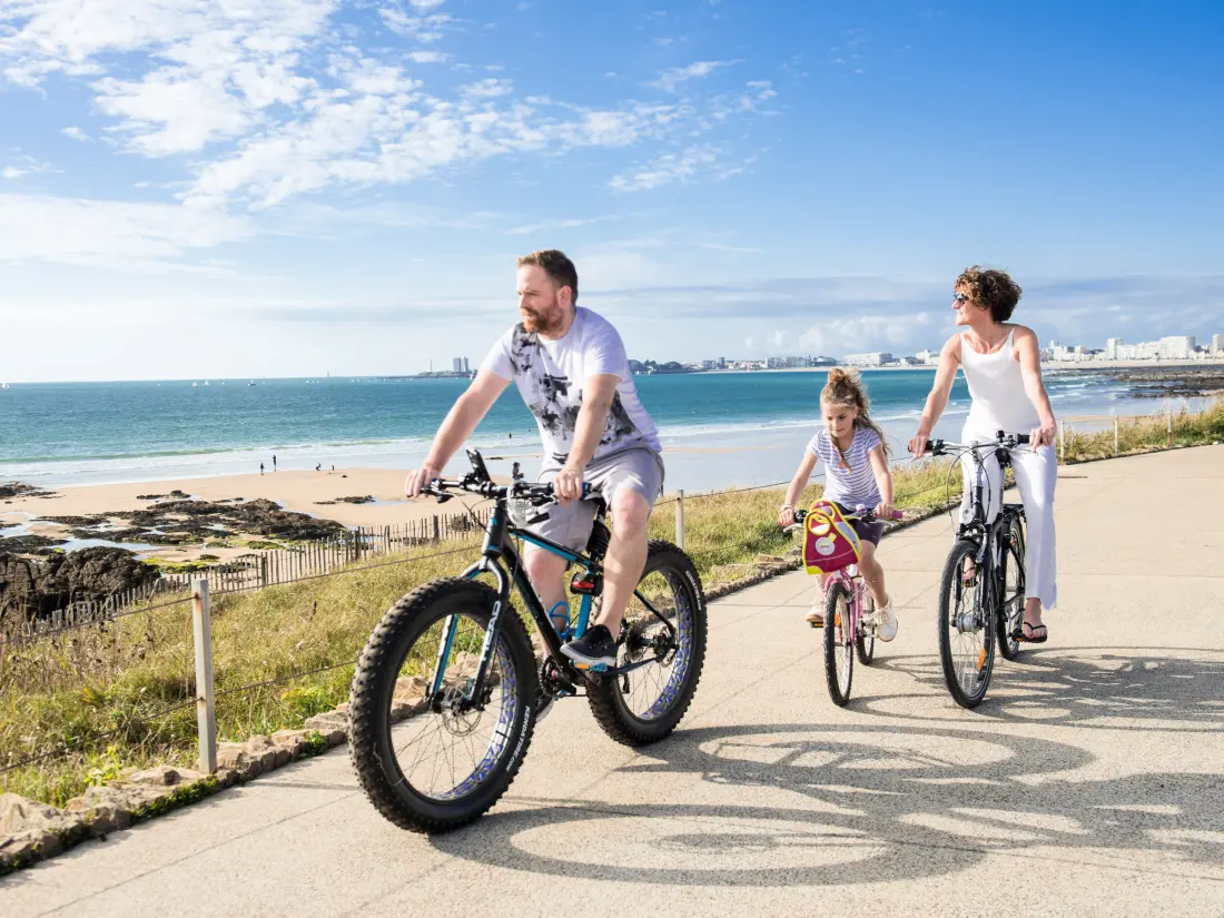 Location de Vacances Les Sables-d'Olonne 915