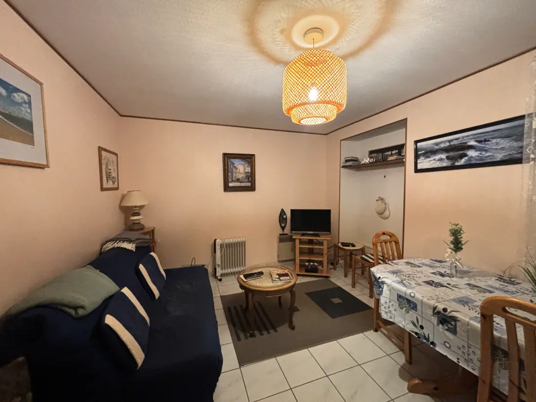 Location de Vacances Les Sables-d'Olonne 998