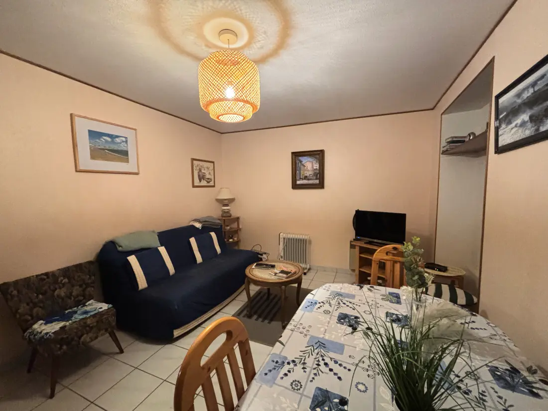 Location de Vacances Les Sables-d'Olonne 998