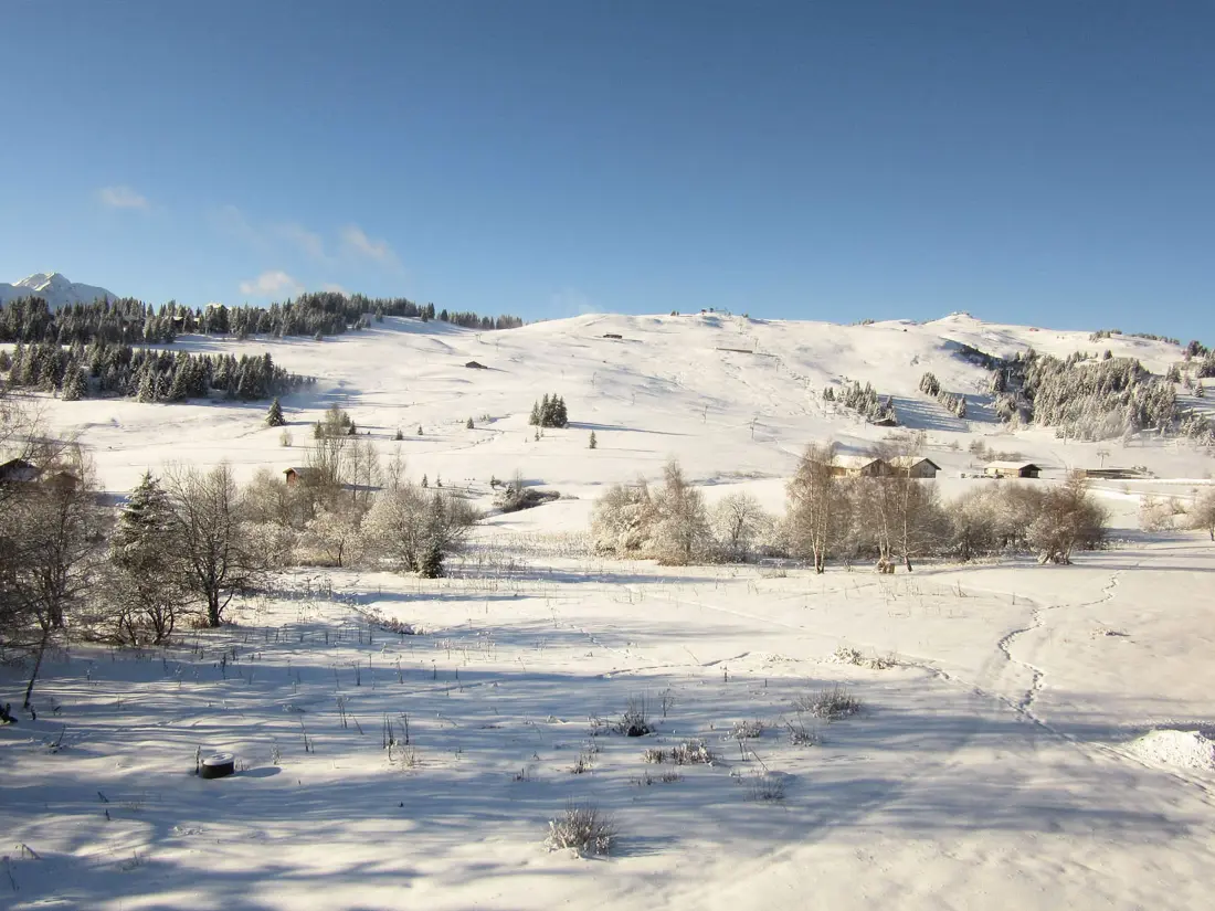 Location de Vacances Hauteluce 31