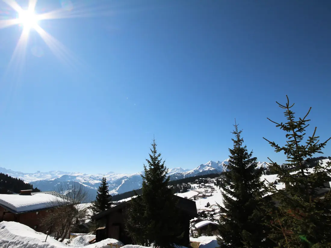 Location de Vacances Hauteluce 47