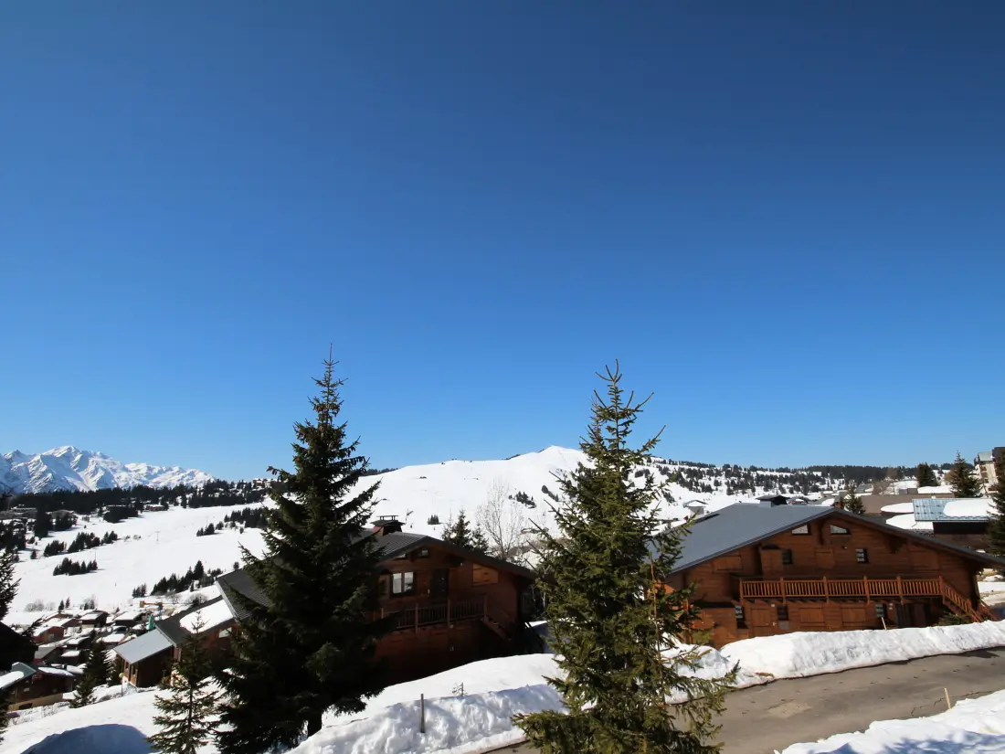 Location de Vacances Hauteluce 47
