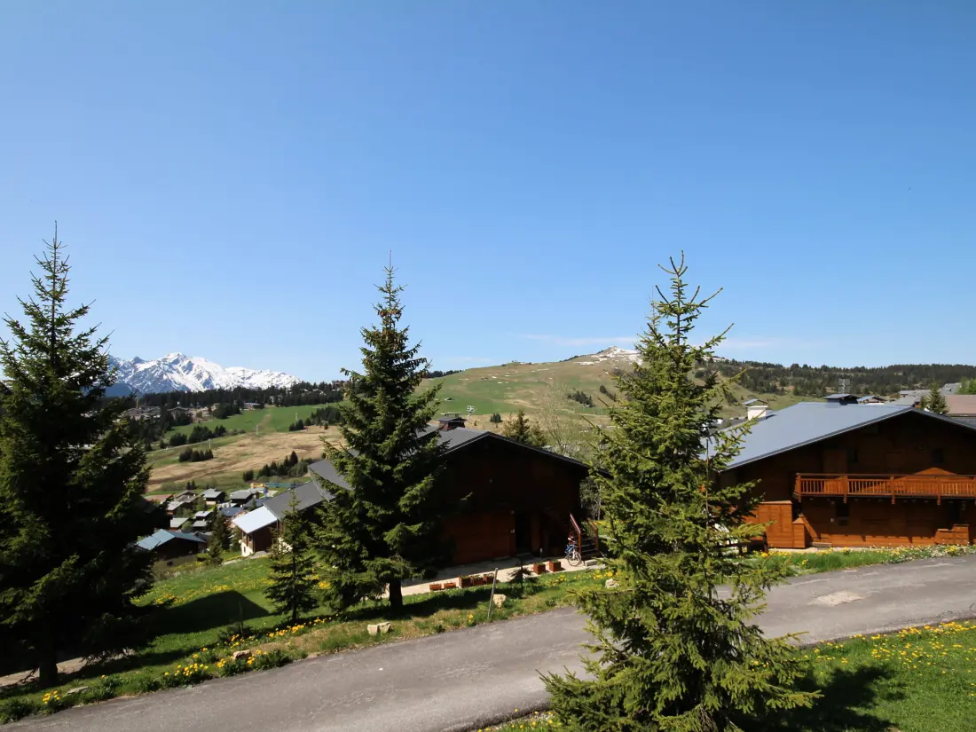Location de Vacances Hauteluce 47