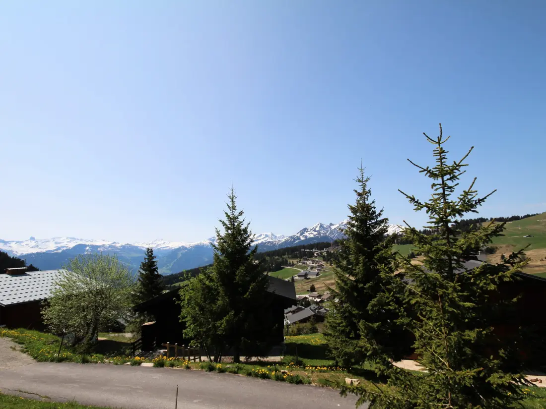 Location de Vacances Hauteluce 47