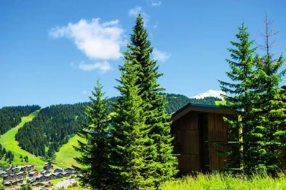 Belambra Club Les Embrunes - Demi-pension et remontées mécaniques