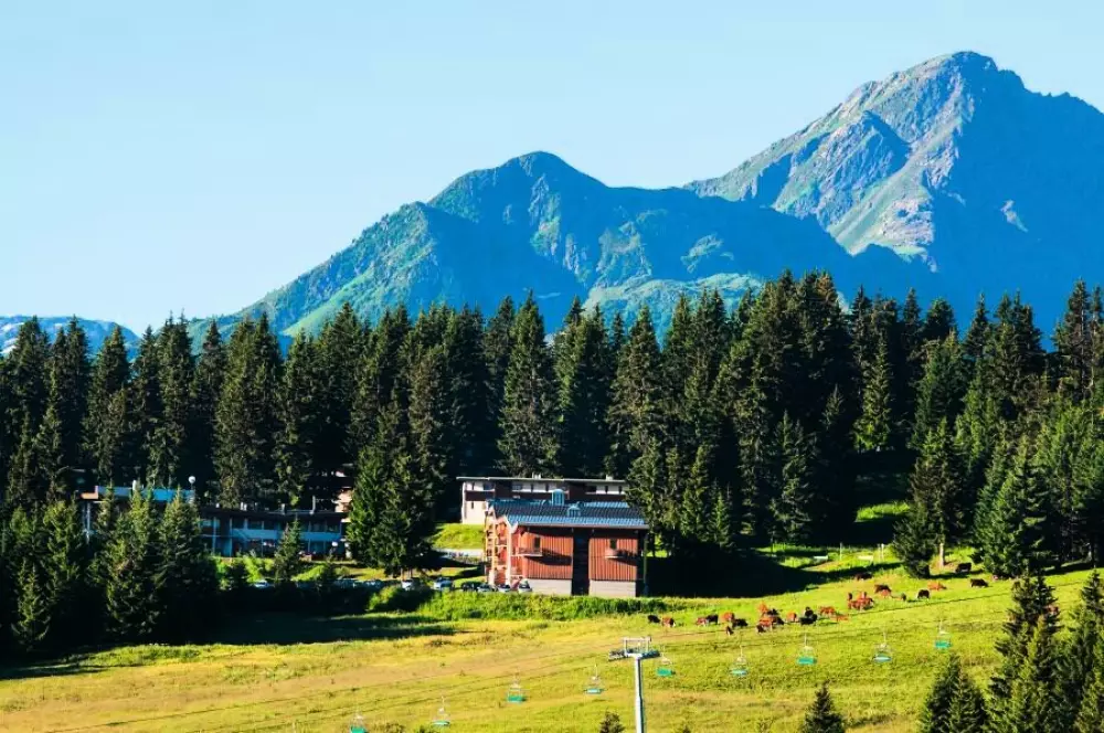 Belambra Club Les Embrunes - Demi-pension et remontées mécaniques