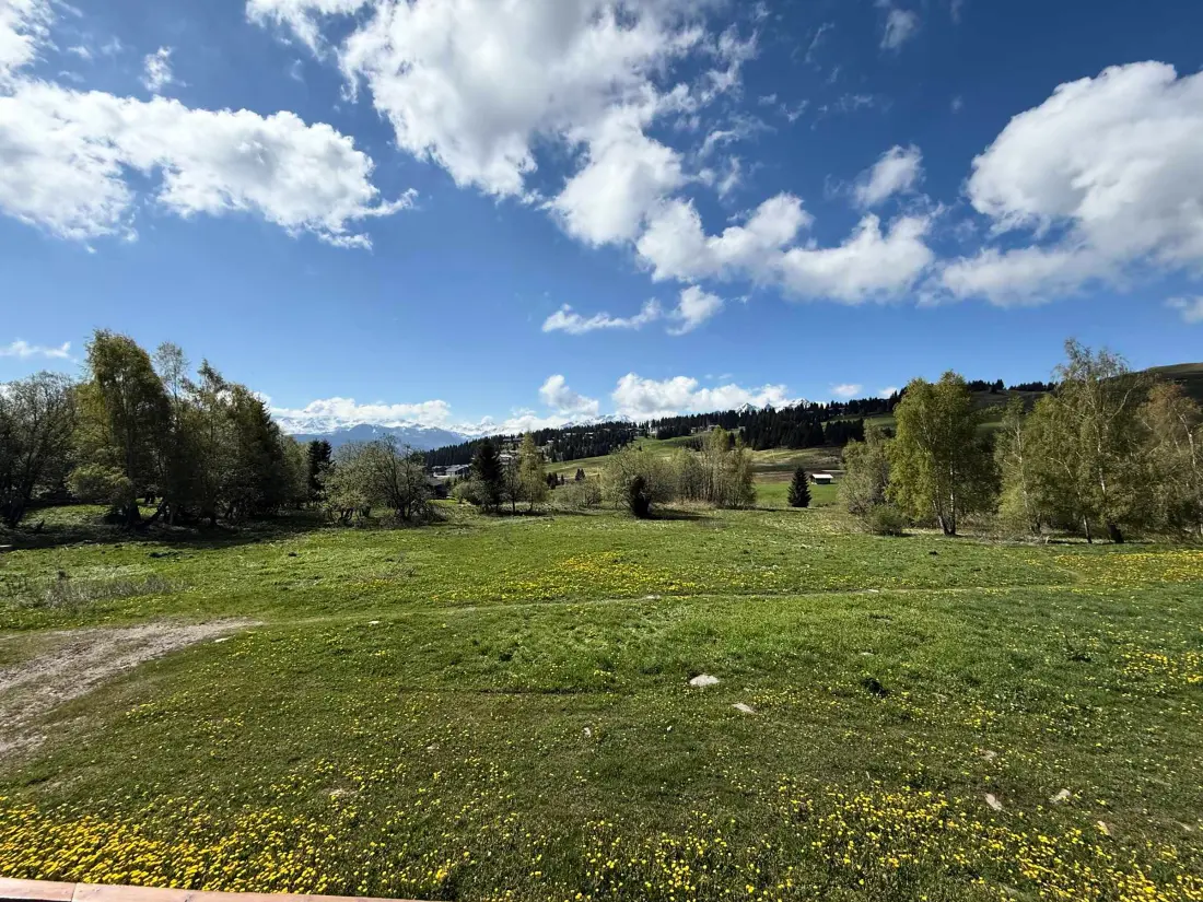 Location de Vacances Les Saisies 145