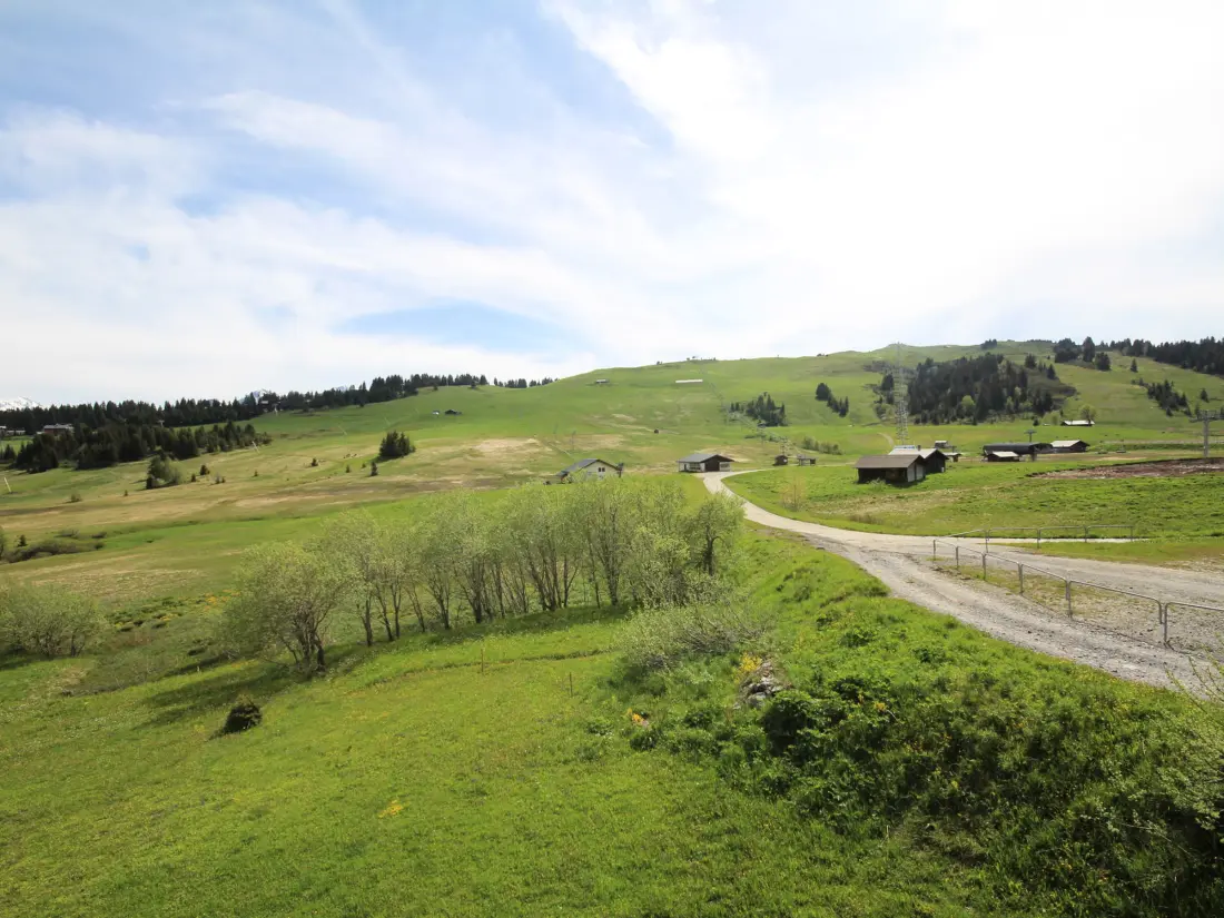 Location de Vacances Les Saisies 220