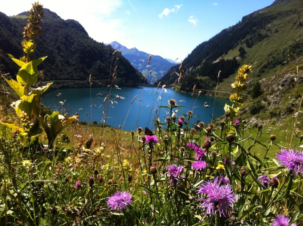 Résidence des Armaillis4 étoiles★★★★