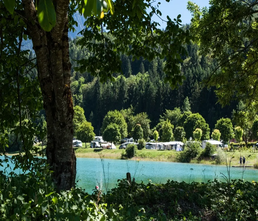 Camping L'Île du Chéran3 étoiles★★★ - Ternélia