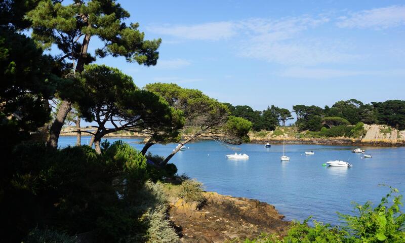 Gîte de France Ker'luane 3 épis - - Lezardrieux - 37
