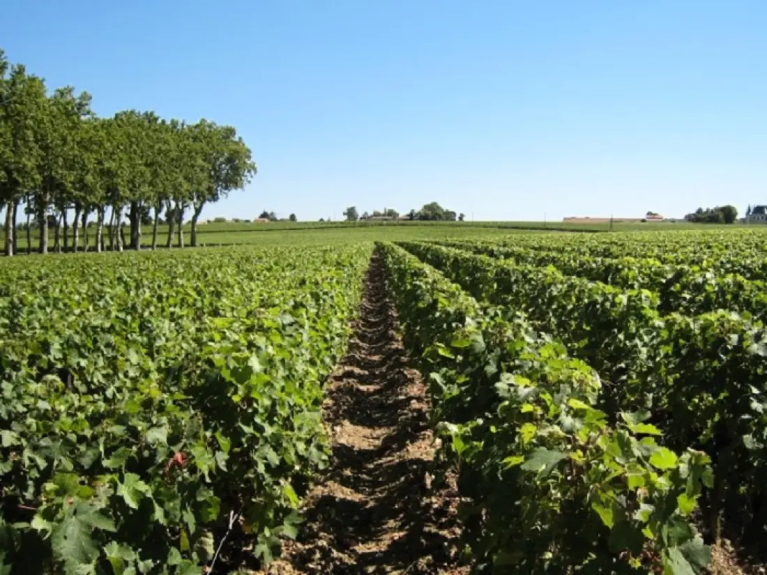 Résidence Les Grands Vignobles3 étoiles★★★