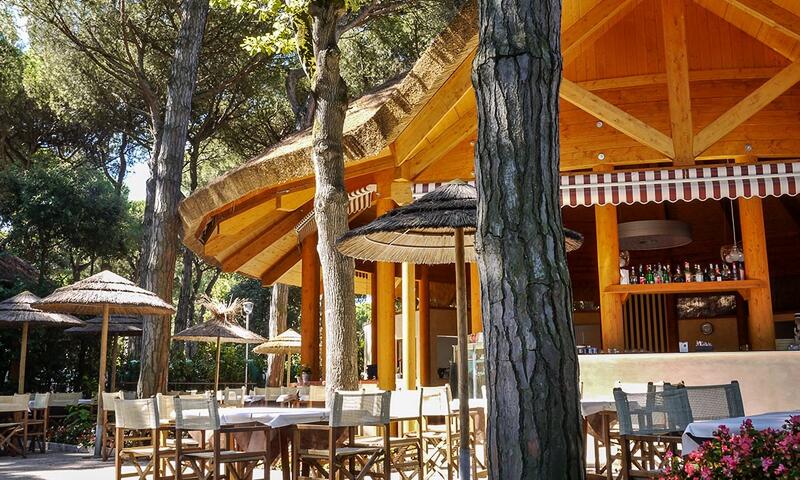 Camping Mare e Pineta - Lido di Spina - 4