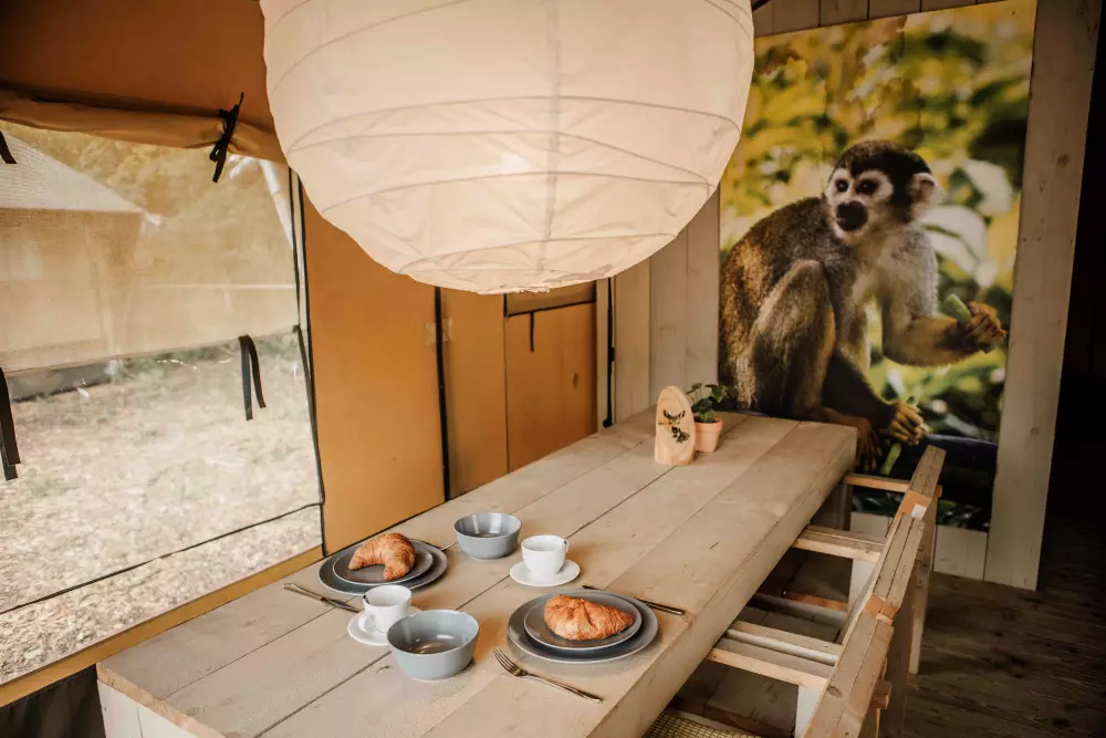 De Bosgraaf (Meer Leisure)