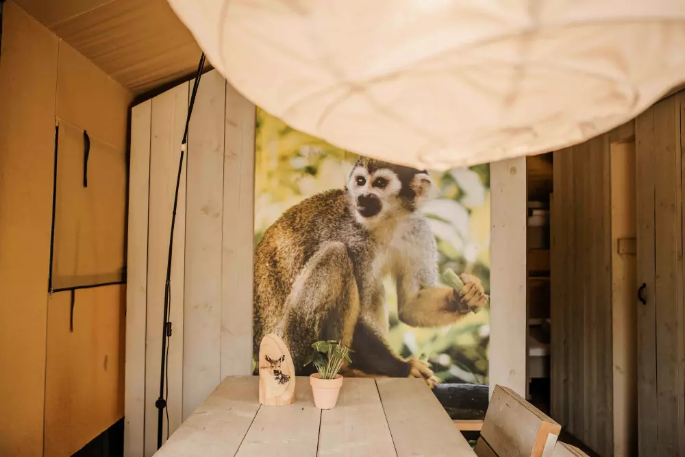 De Bosgraaf (Meer Leisure)