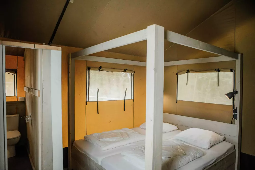 De Bosgraaf (Meer Leisure)