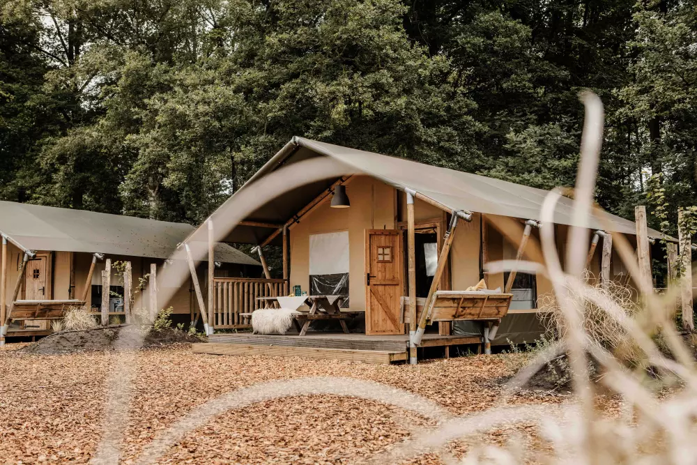 De Bosgraaf (Meer Leisure)