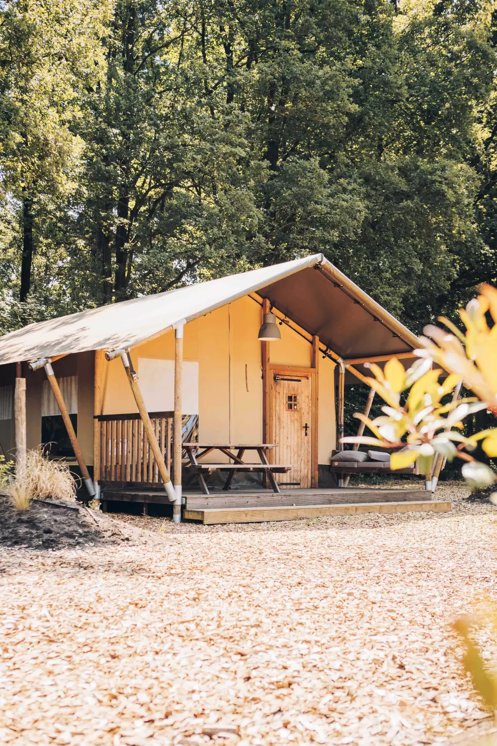 De Bosgraaf (Meer Leisure)