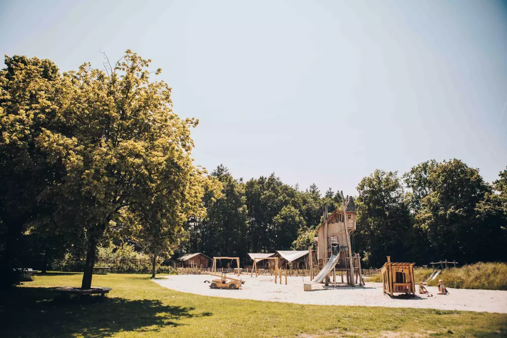 De Bosgraaf (Meer Leisure)