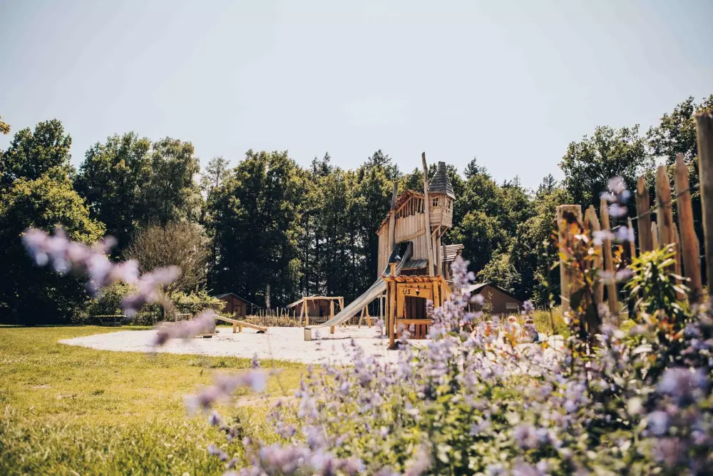 De Bosgraaf (Meer Leisure)