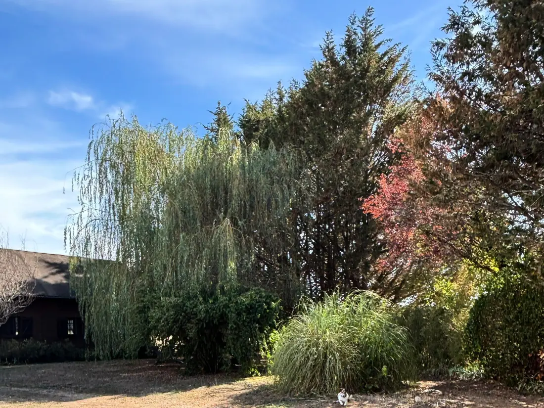 Maison de Vacances Ligny-le-Ribault 16