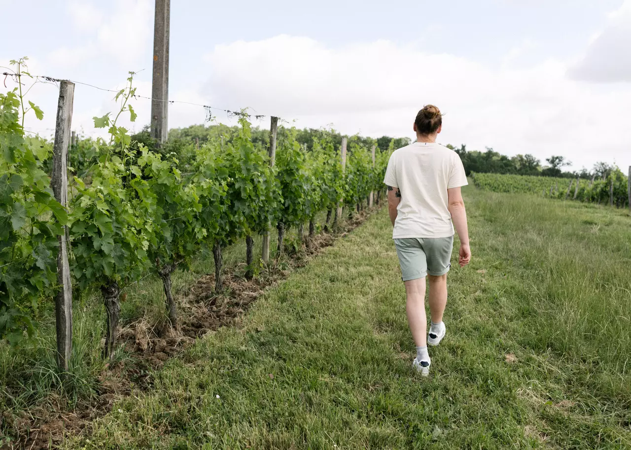 Tiny House - Château Couronneau - domaine du 15e siècle - 2