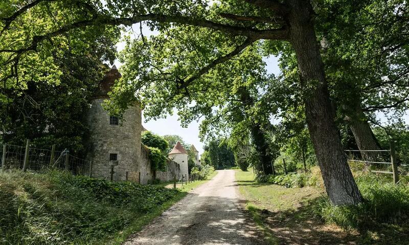 Château Couronneau - Parcel Tiny House - - Ligueux - 11