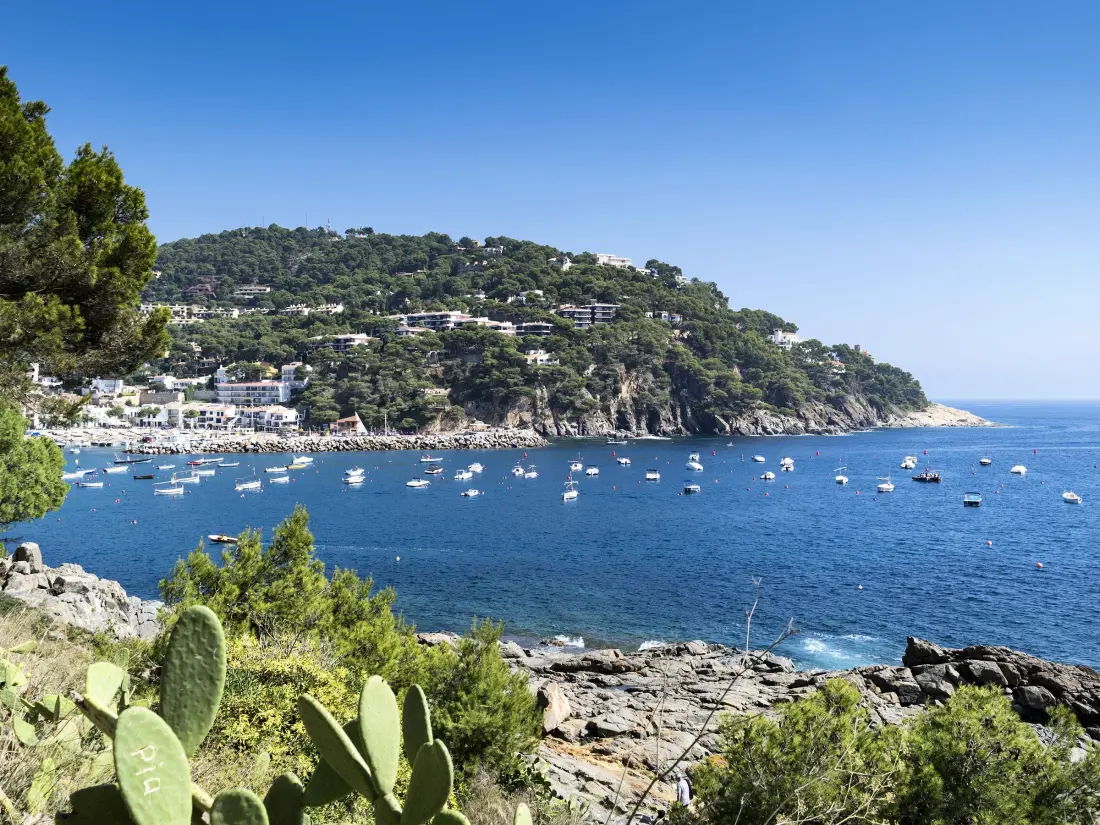 Location de Vacances Llafranc 18