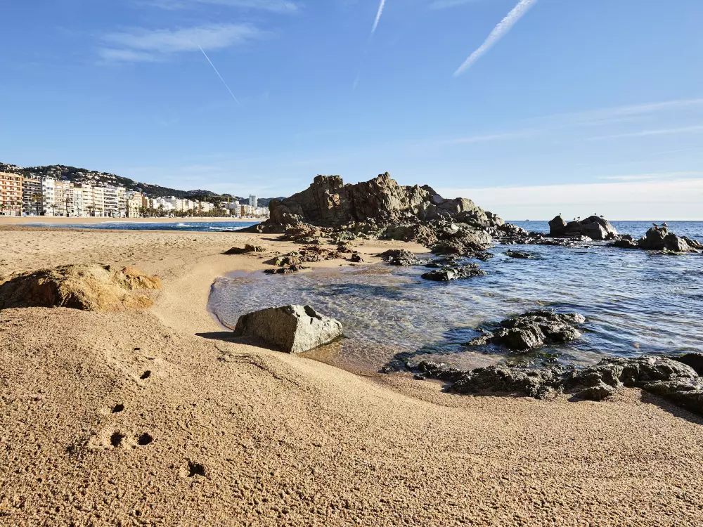 Location de Vacances Lloret de Mar 230