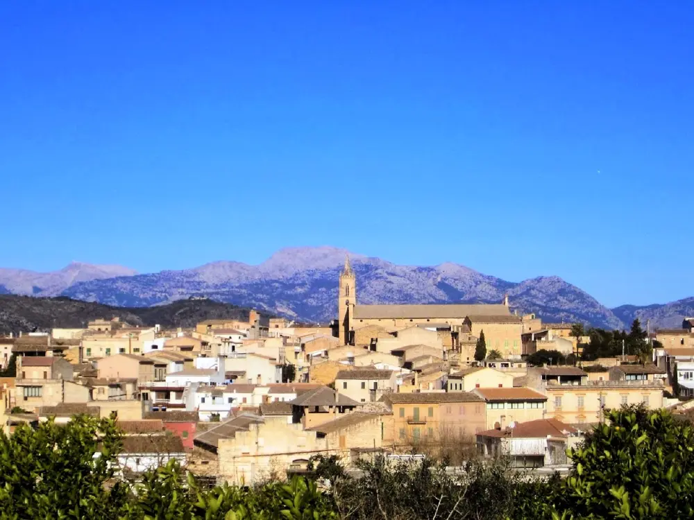 Maison de Vacances Llubí 31