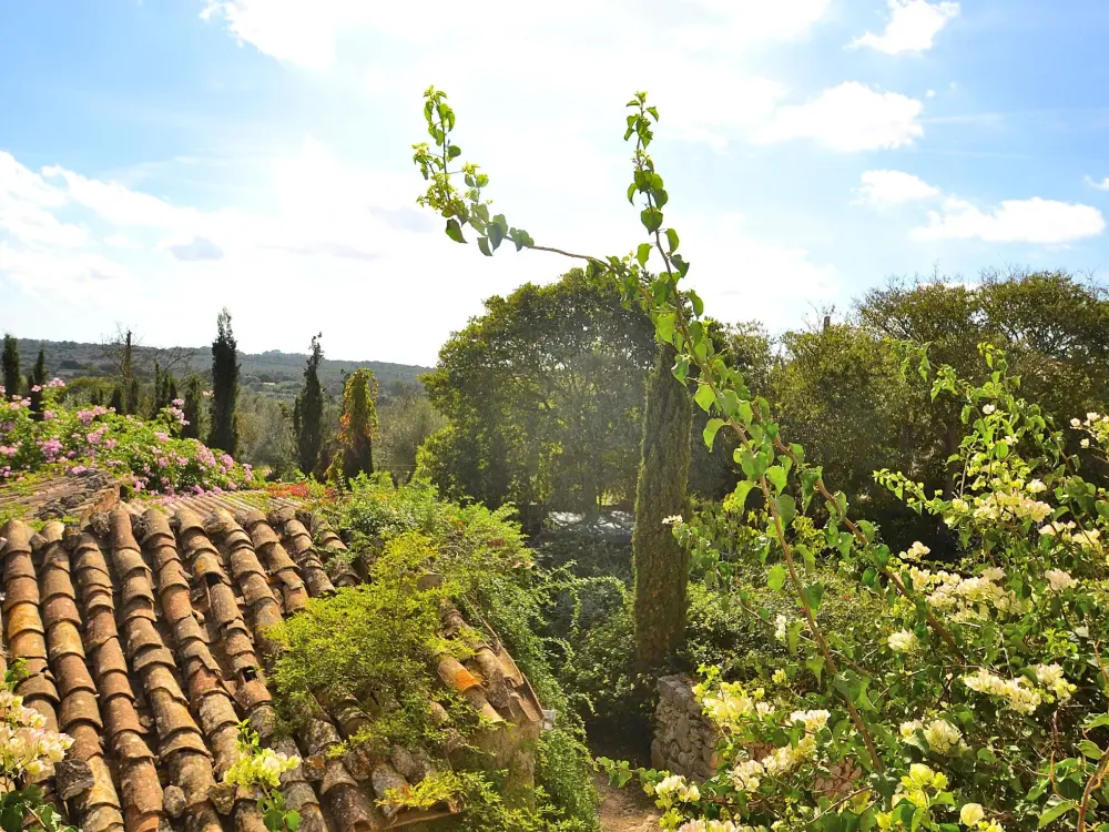 Maison de Vacances Llubí 35