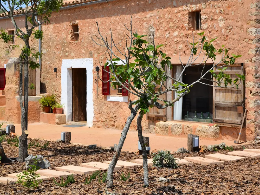 Maison de Vacances Llubí 43
