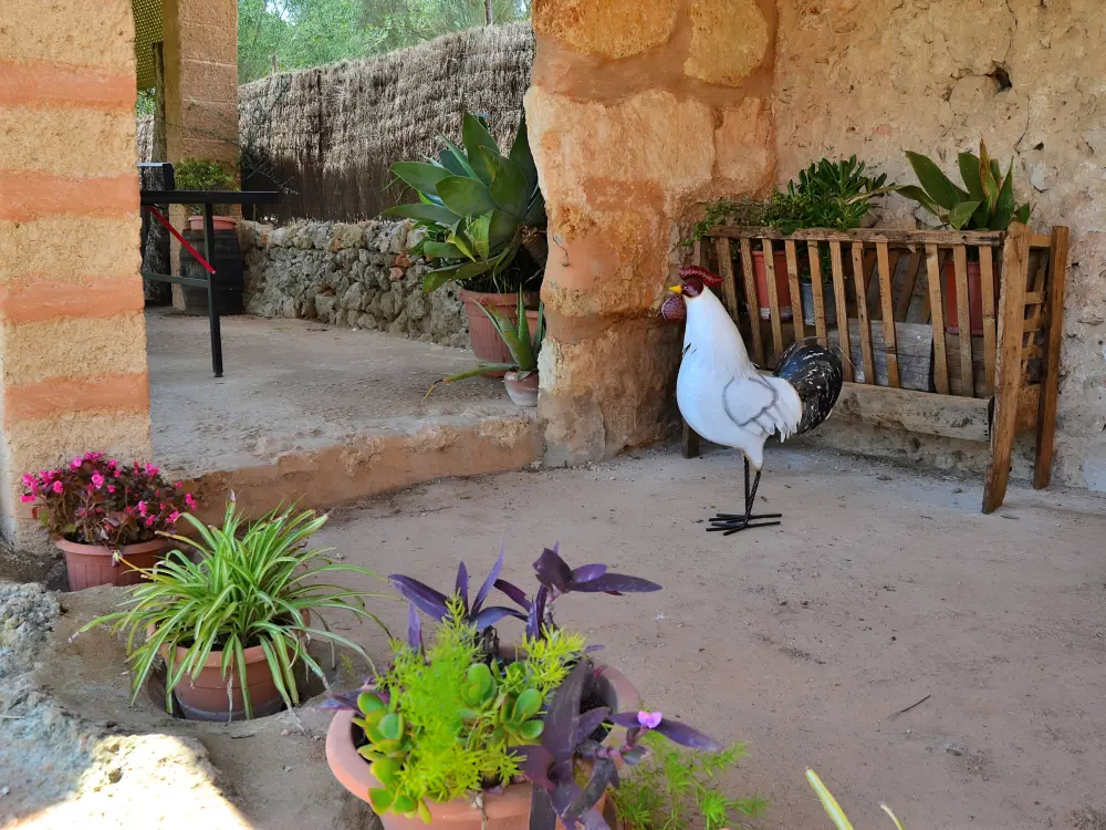 Maison de Vacances Llubí 43