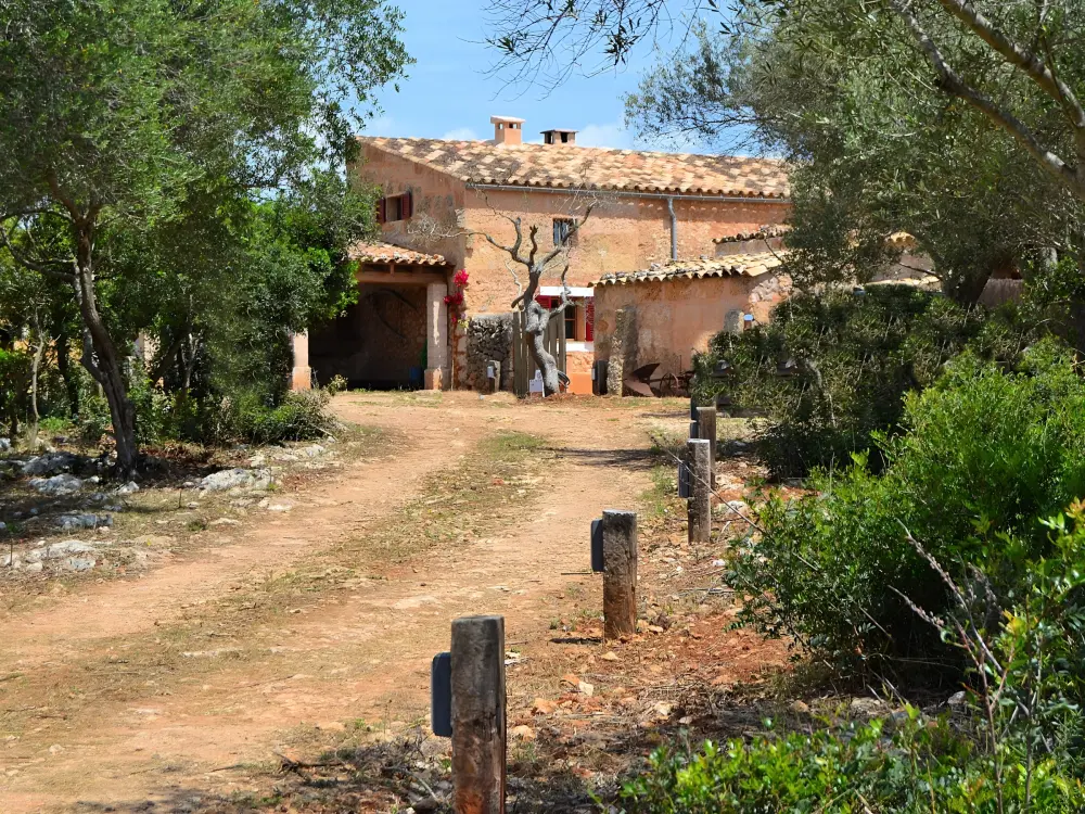 Maison de Vacances Llubí 43