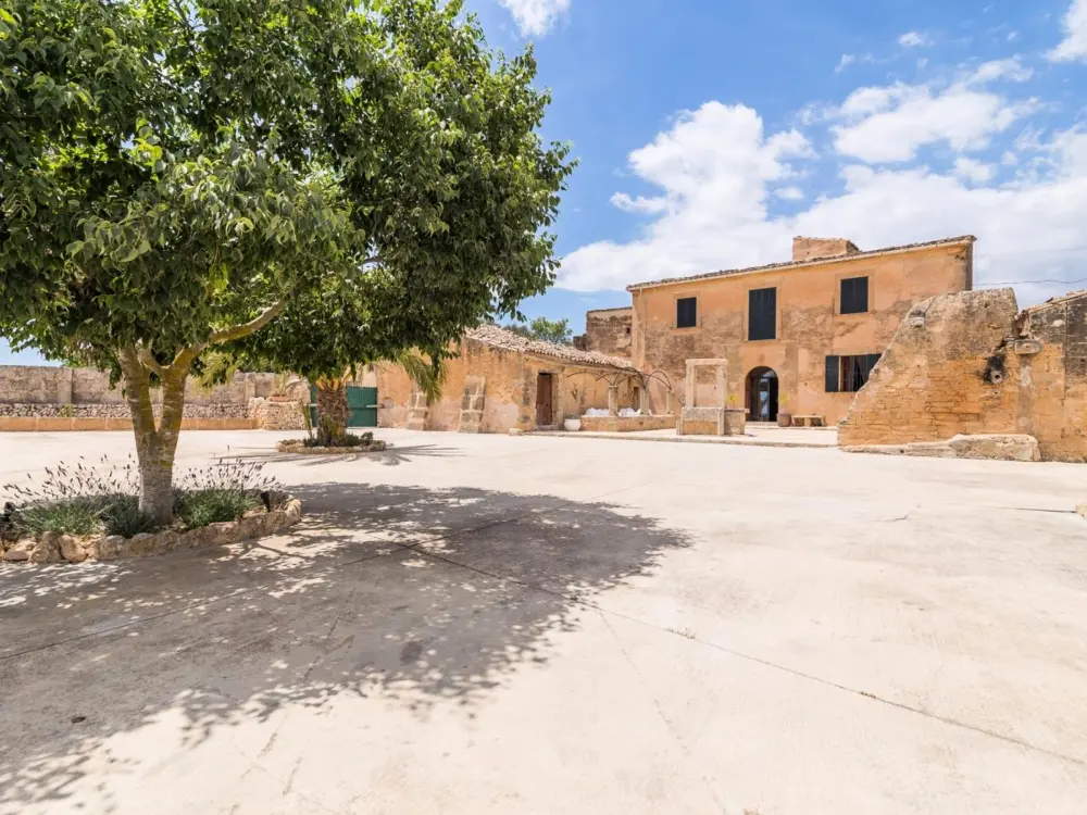 Maison de Vacances Llucmajor 71