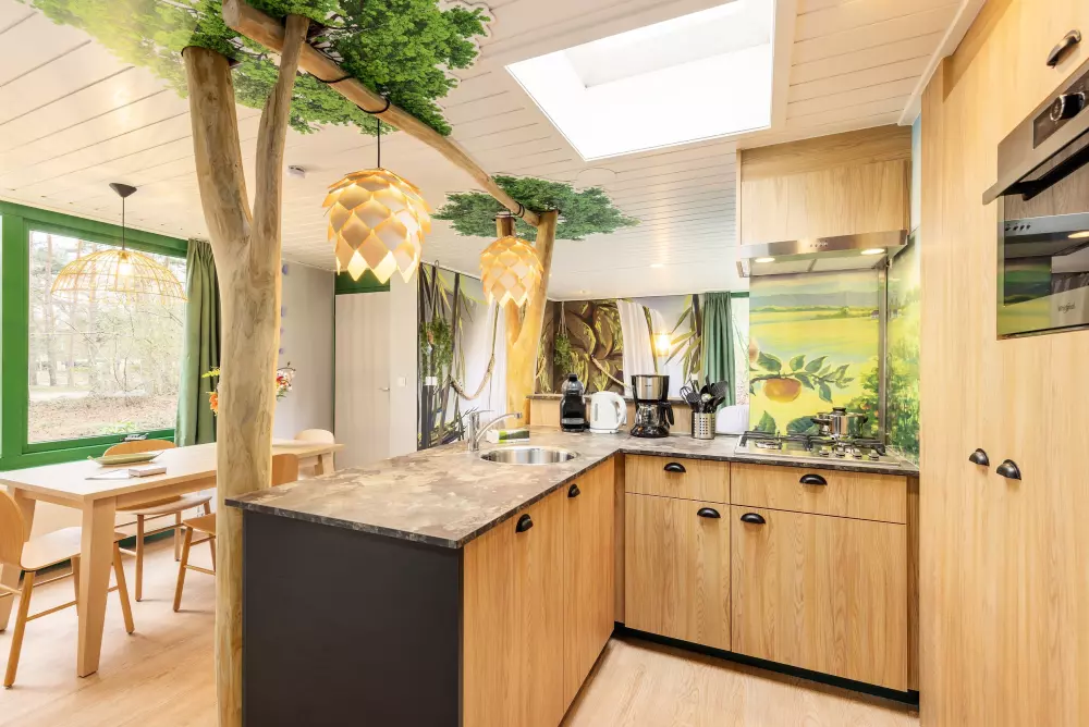 Domaine de Vossemeren Center Parcs